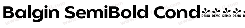 Balgin SemiBold Cond字体转换